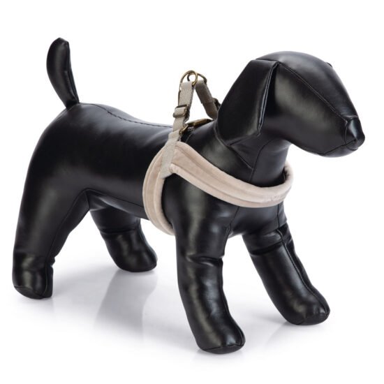 Arnes Velura Designed by Lotte